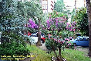 724- Torremolinos Bajondillo